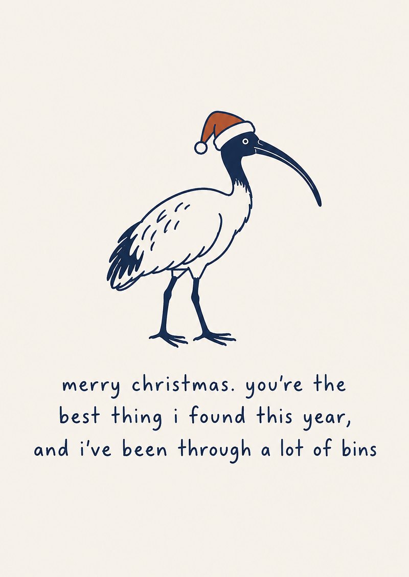 ibis in a santa hat, 'merry christmas. you're the best thing i found this year, and i've been through a lot of bins'